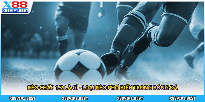 Kèo chấp 1/2 là gì